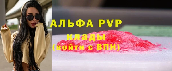 индика Верхний Тагил