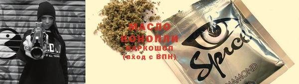 индика Верхний Тагил