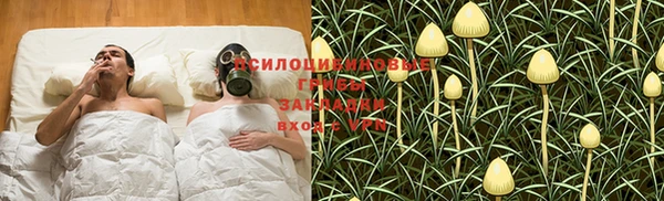 индика Верхний Тагил