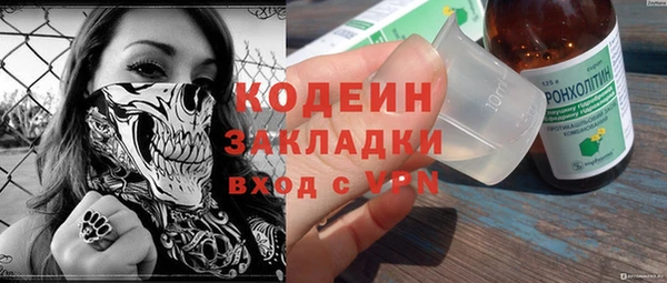 индика Верхний Тагил