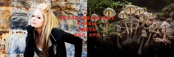 индика Верхний Тагил