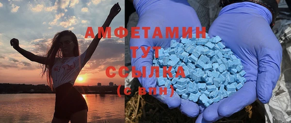 индика Верхний Тагил