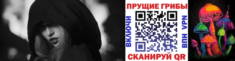 Псилоцибиновые грибы ЛСД  blacksprut сайт  Новосиль 