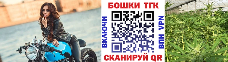 Каннабис OG Kush hydra ссылки Новосиль